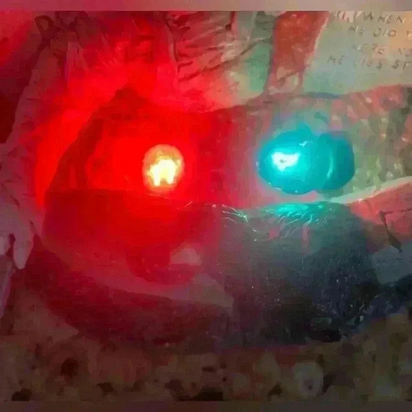 RARE MONSTERS CHALK STATUE FRANKENSTEIN DRACULA WOLFMAN MUMMY & BLACK CAT WORKS! - Picture 14 of 15